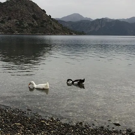 Kapri Selimiye (Aegean)